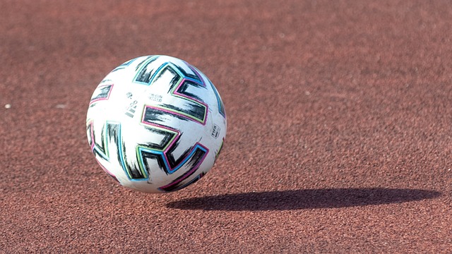 从适应到自 从适应到自