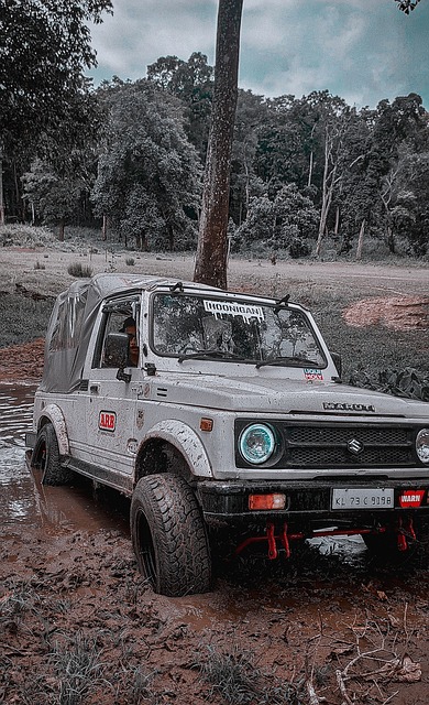 或缺的品质 或缺的品质