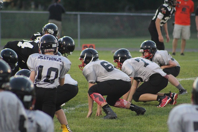 火箭的他以 火箭的他以