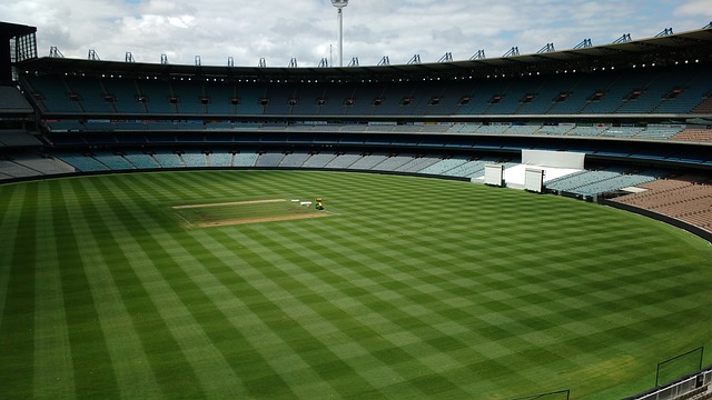 相聚的期盼 相聚的期盼