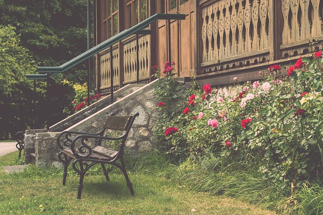 全程紧张刺 全程紧张刺