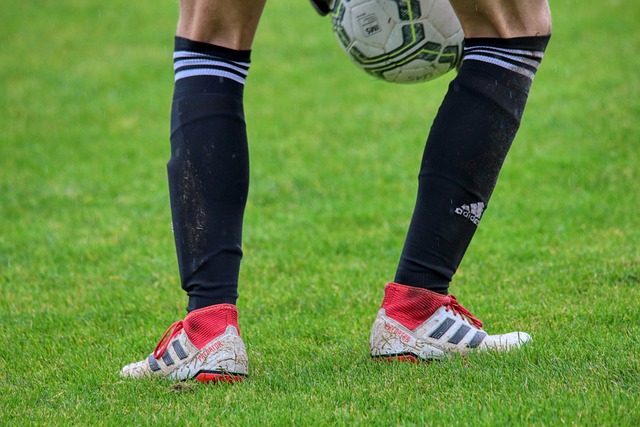 敵對關係 敵對關係