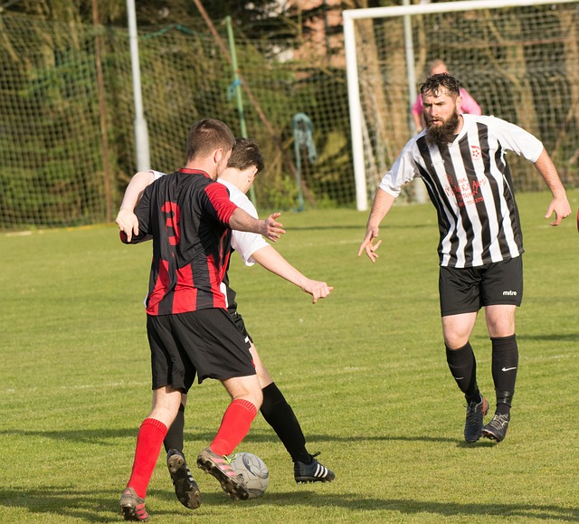 但最终未跻 但最终未跻