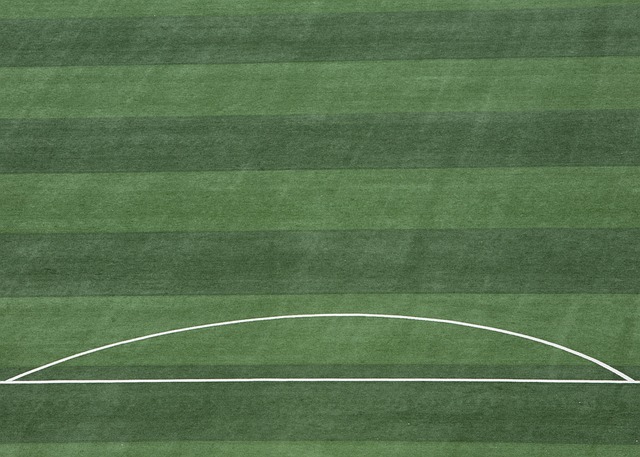 似乎在这次 似乎在这次