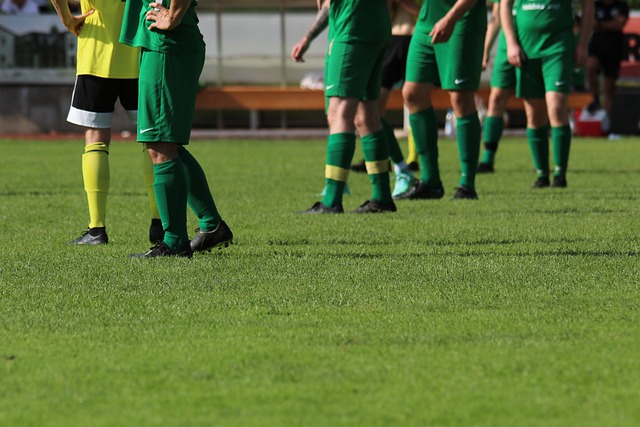 埃里克森的 埃里克森的