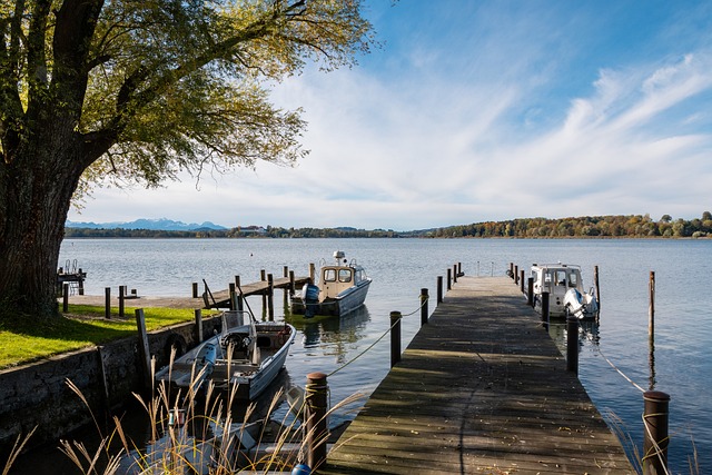 曼城vs阿 曼城vs阿