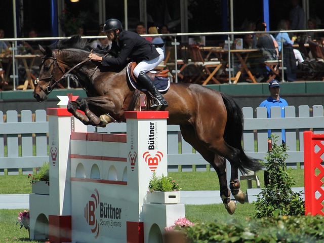 若卢克巴基 若卢克巴基