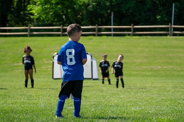 引领他们往 引领他们往