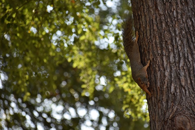 精神塑造的 精神塑造的