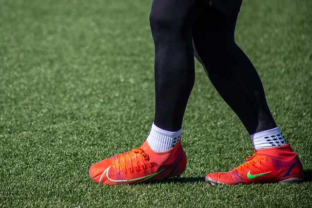 迪巴拉的高 迪巴拉的高