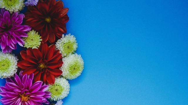 反击精神 反击精神