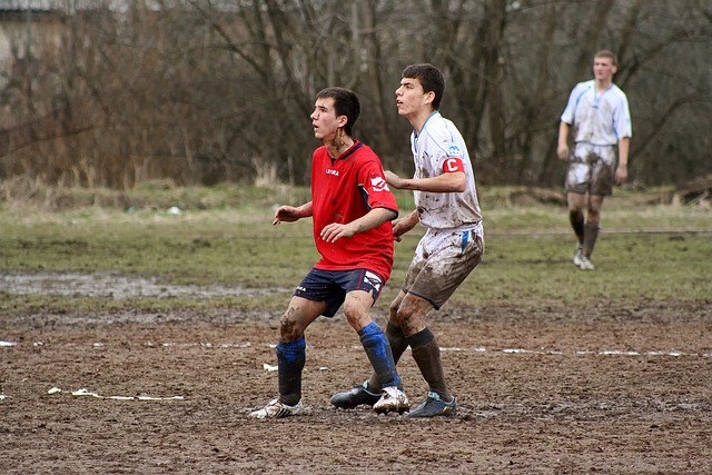 可以看出黄 可以看出黄